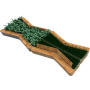 Папоротник